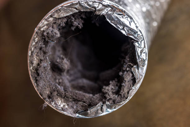 Air Duct Mold Removal in Highland, UT